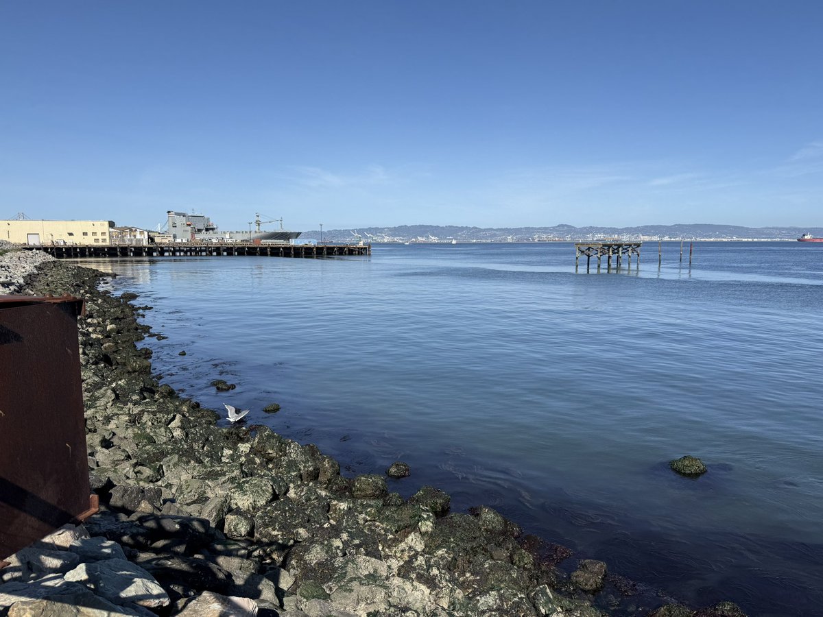 StephanieLinTV's tweet photo. Gorgeous day out in San Francisco’s Mission Bay. Very warm temps expected this weekend. Can you believe it’s March?! How are things looking in your neighborhood? ☀️ https://t.co/sEhKfNs9nG