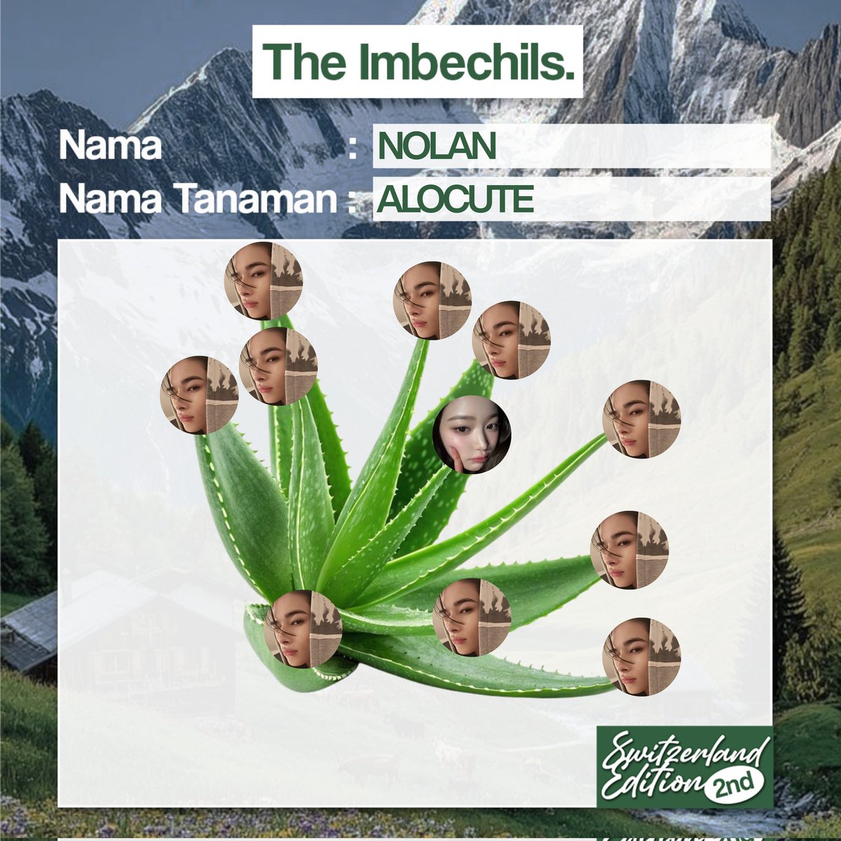 ؘ정투 tweet media