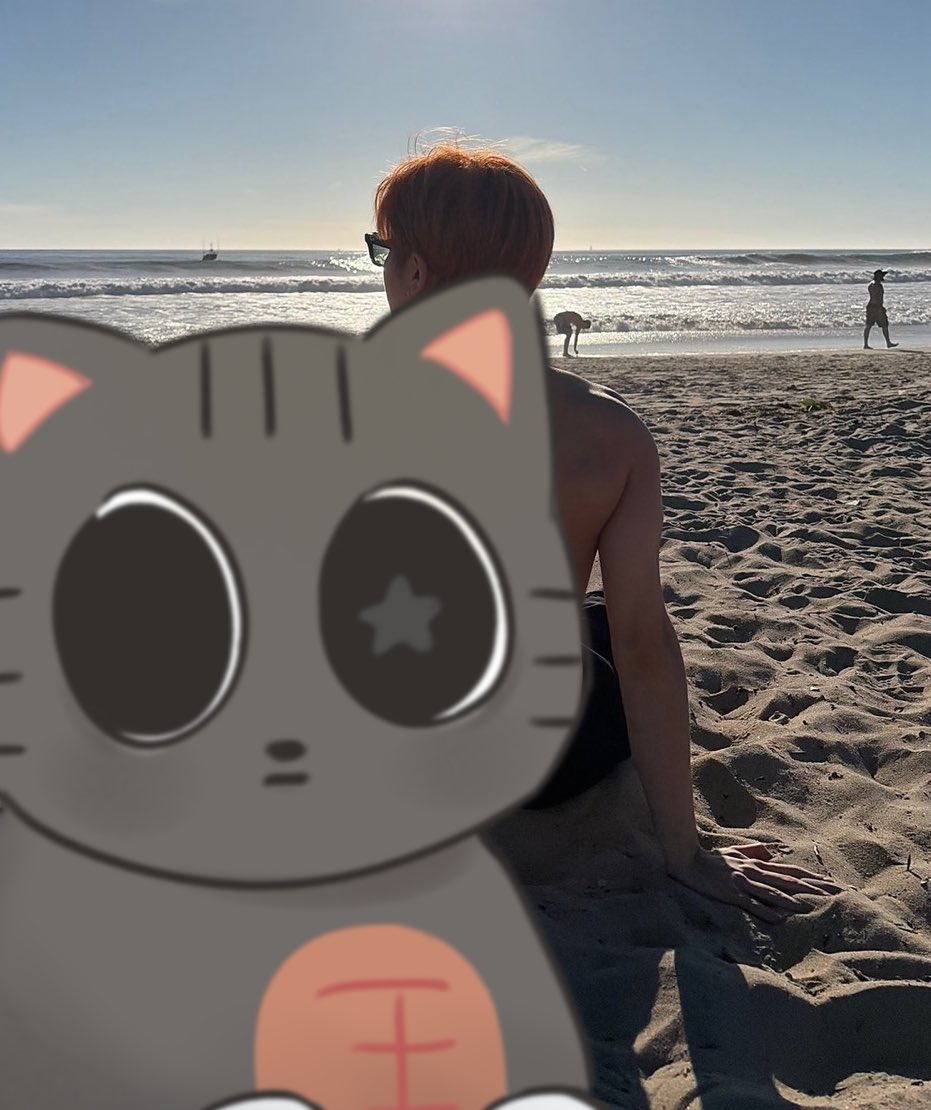 daily ppulbatu tweet media