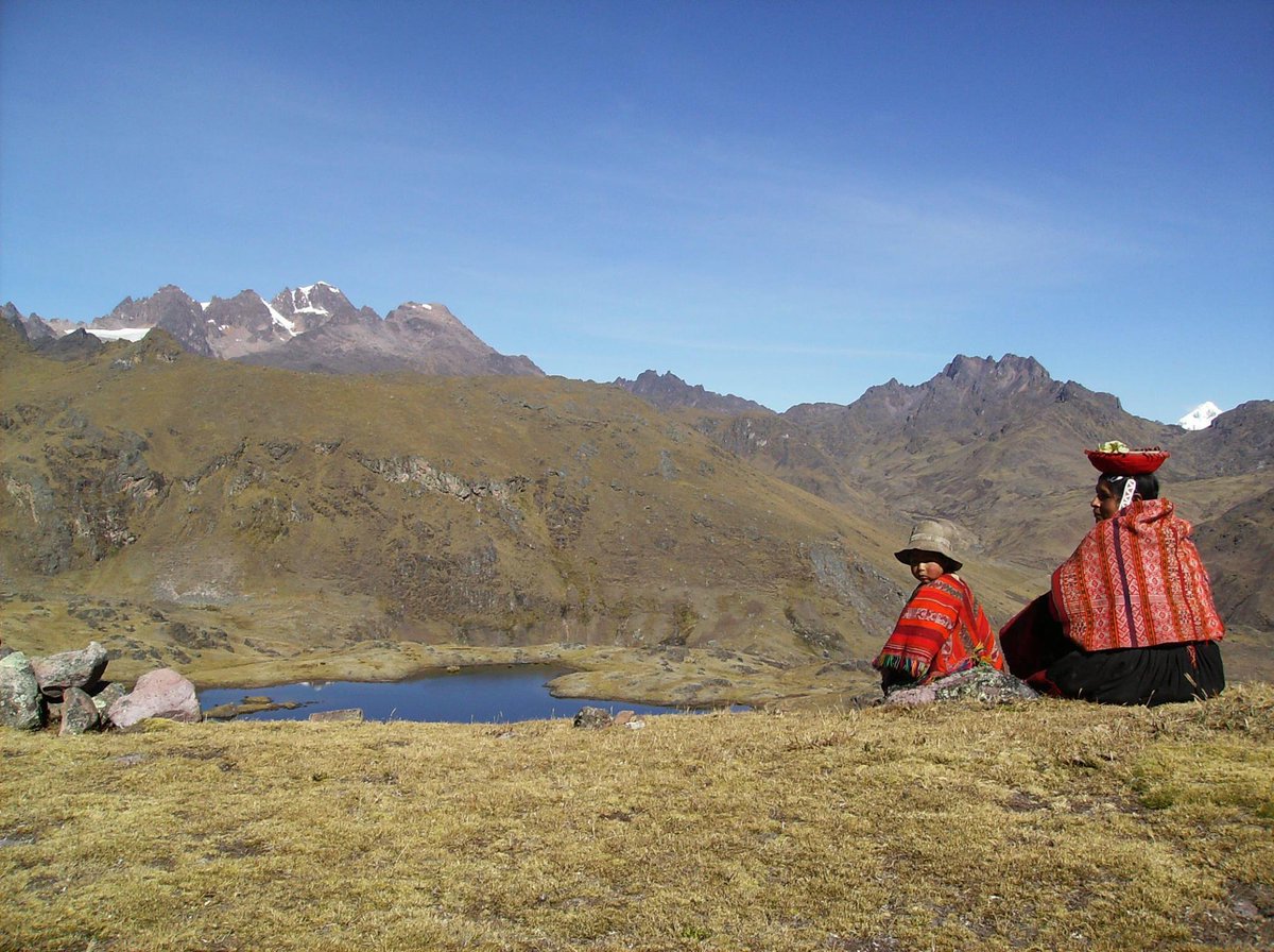 Pepeminnow tweet media