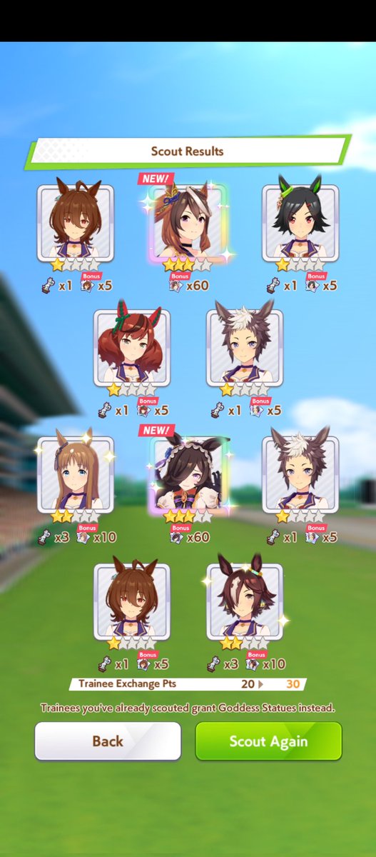 Cynestrea. tweet media