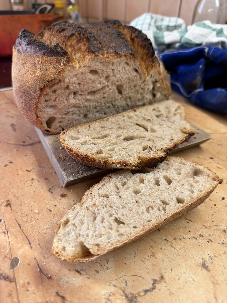 Aleksandar Trifunović tweet media