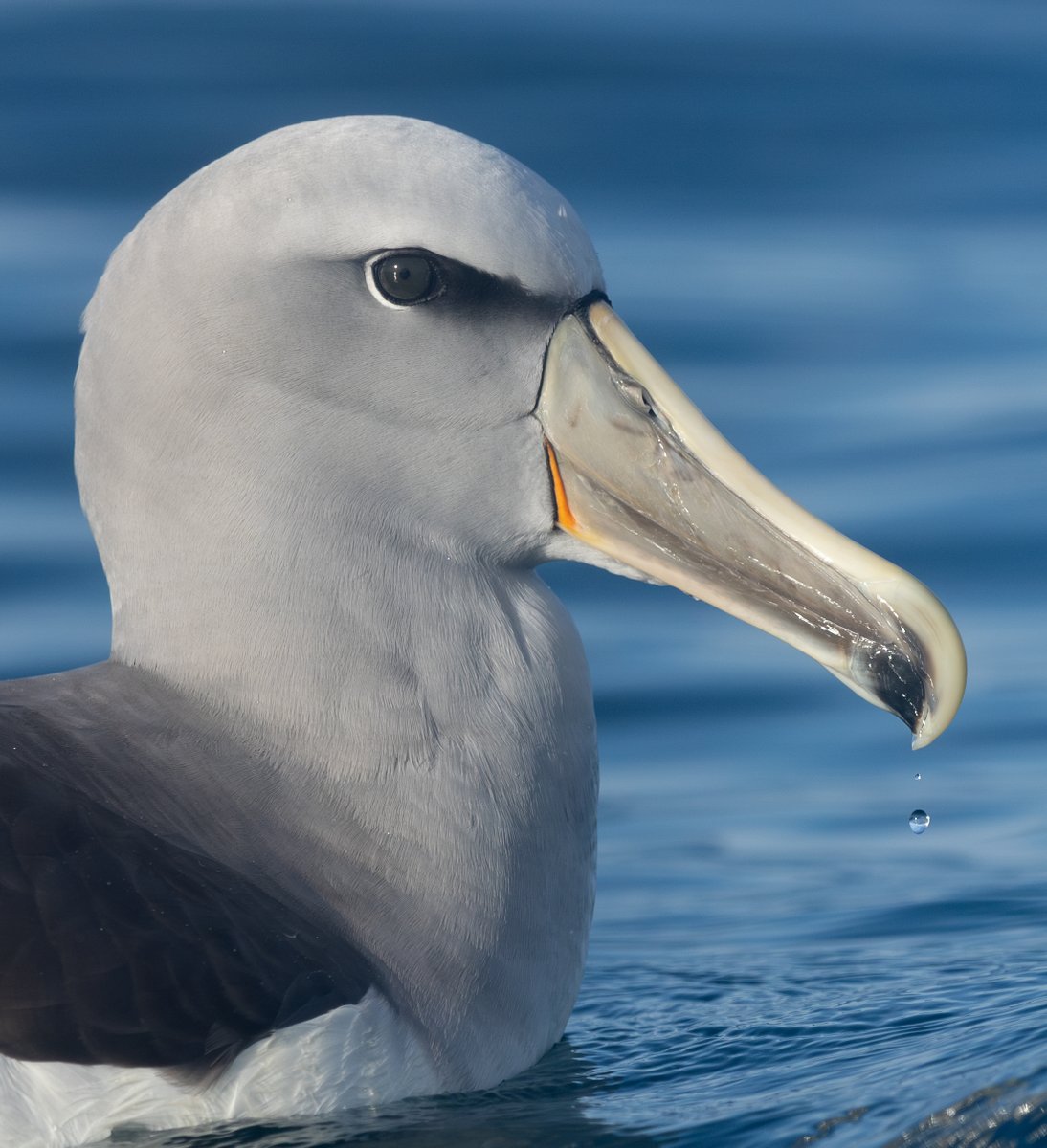 Tom Wright tweet media