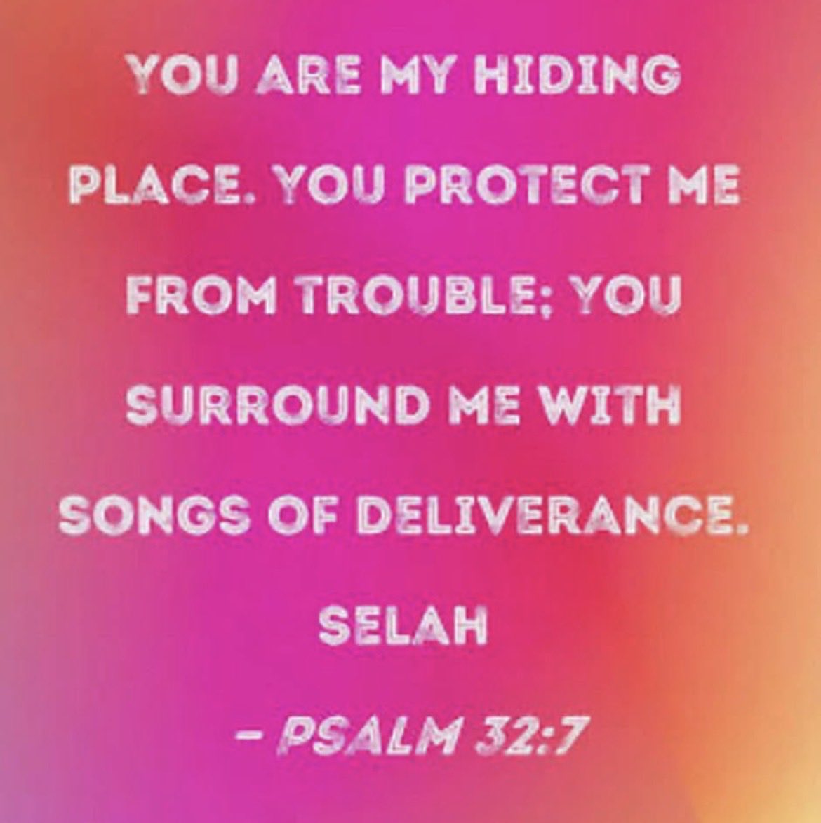 Karen Stell (@stell_karen) on Twitter photo 