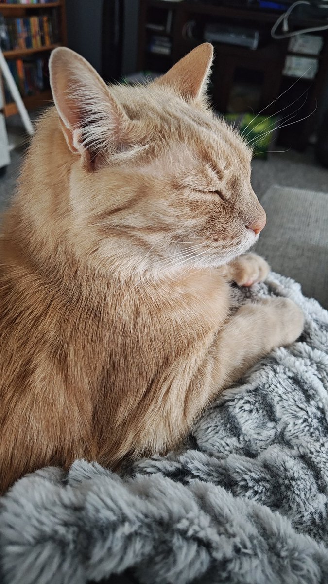 breakofdaylight tweet media