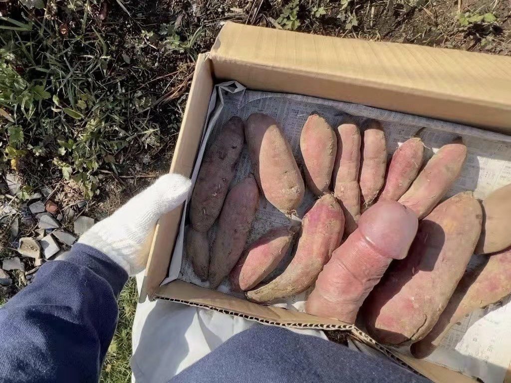 🇺🇦Julia Pod 🇺🇦 tweet media