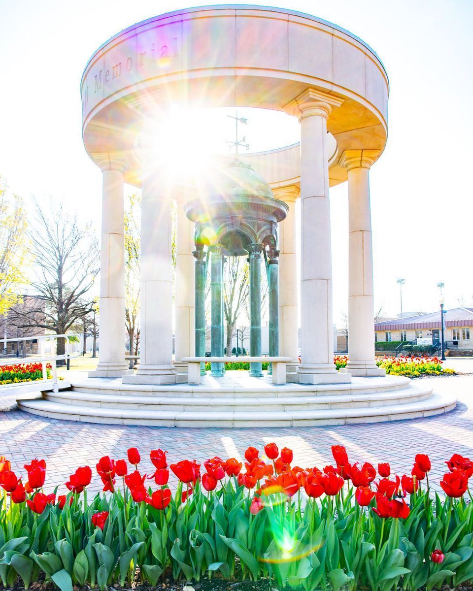 The University of Tulsa tweet media