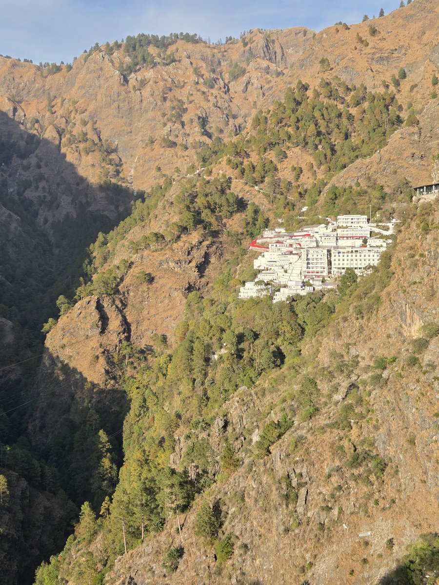 Richa🦋 tweet media