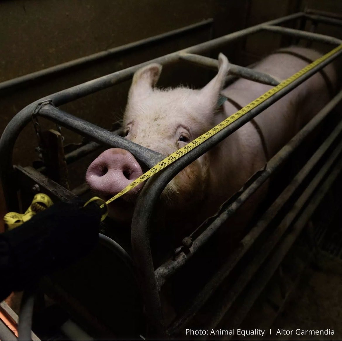 NothingIsArt tweet media