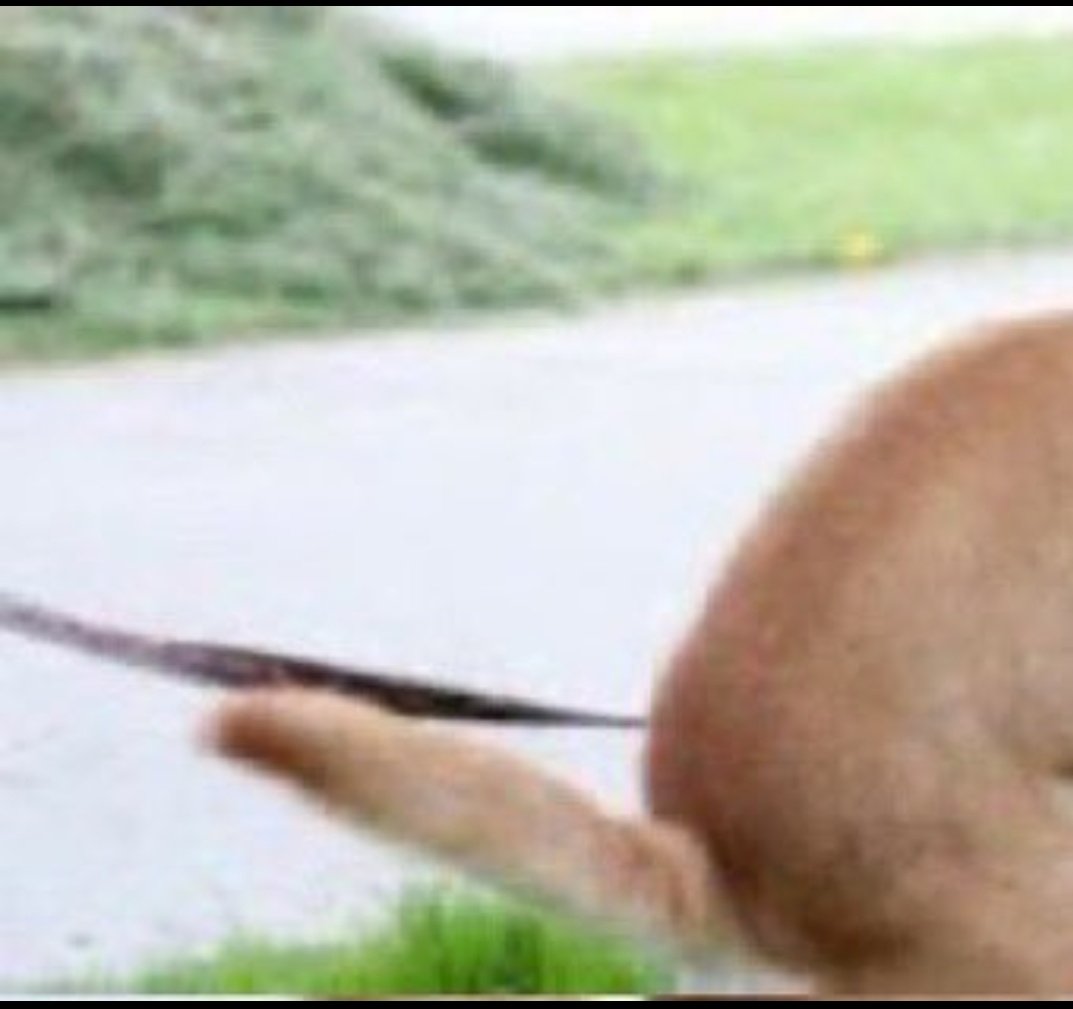 Executioner.🥷🏾 tweet media