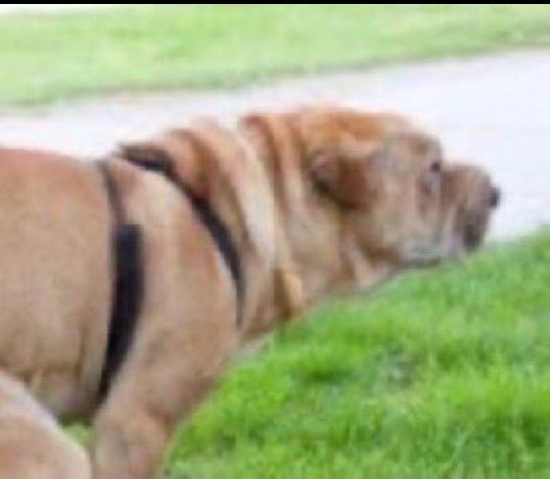 Executioner.🥷🏾 tweet media