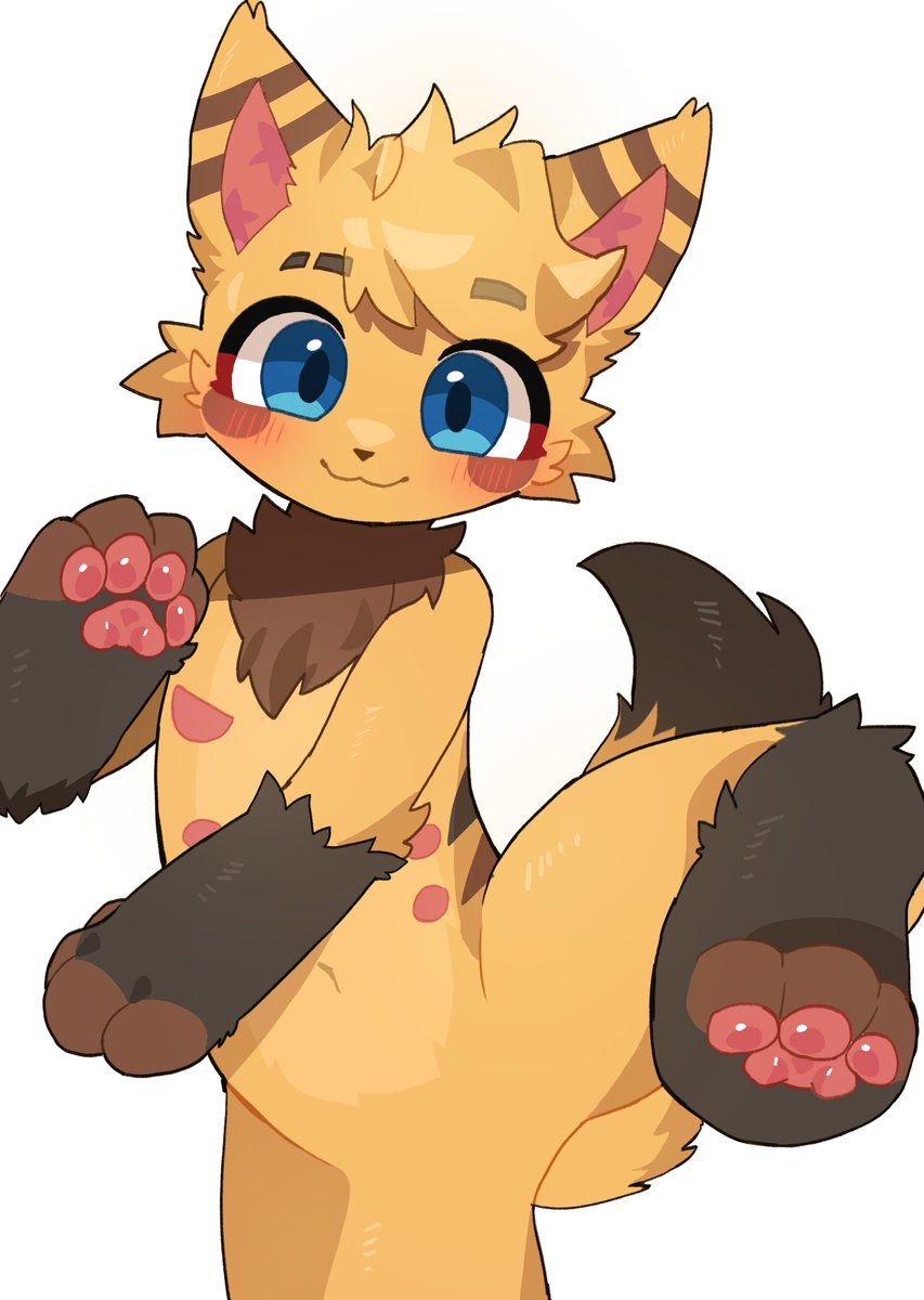 Dizzy🦊 tweet media