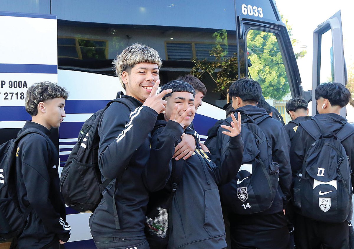 Todd Guild tweet media