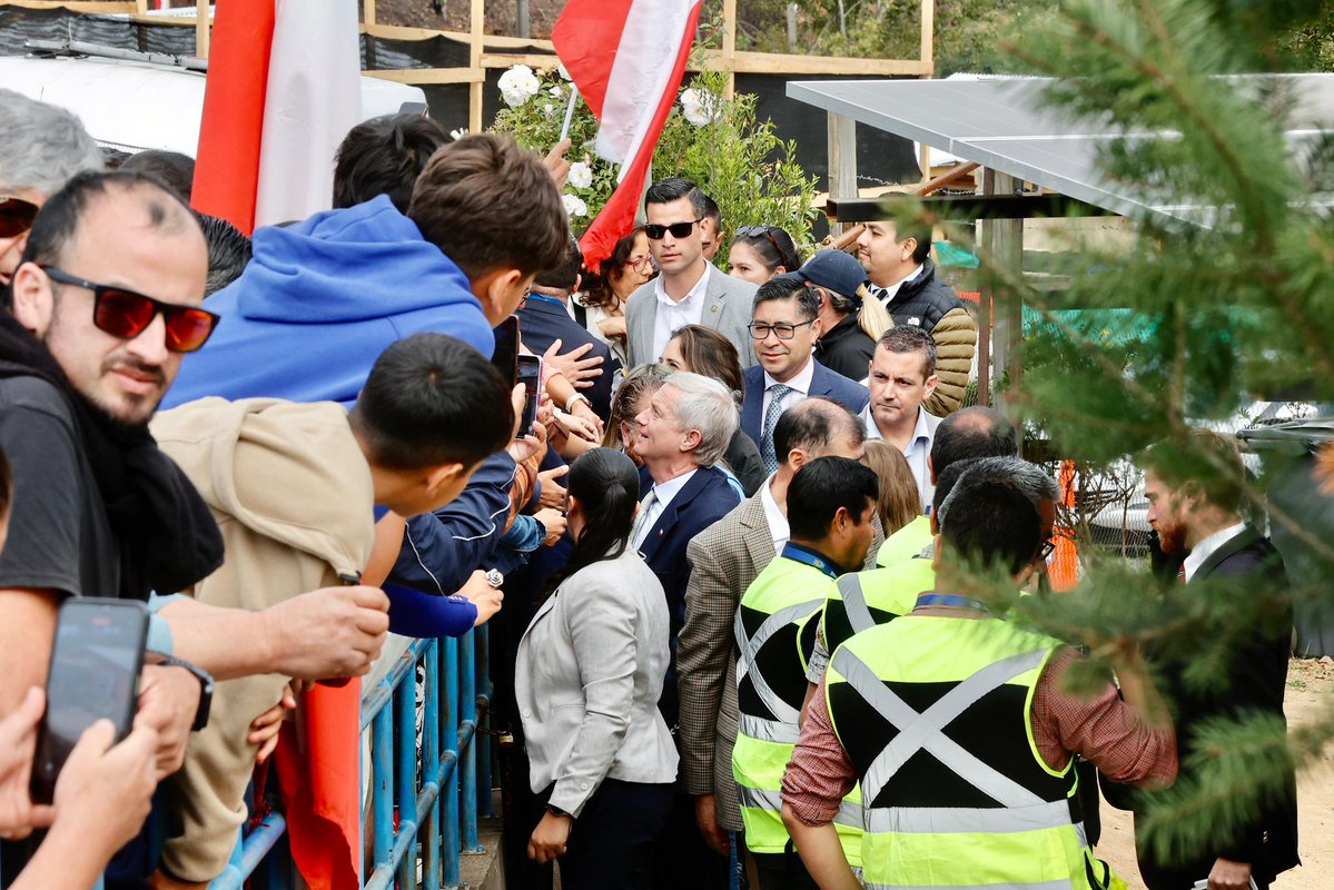 MDSFBioBio tweet media