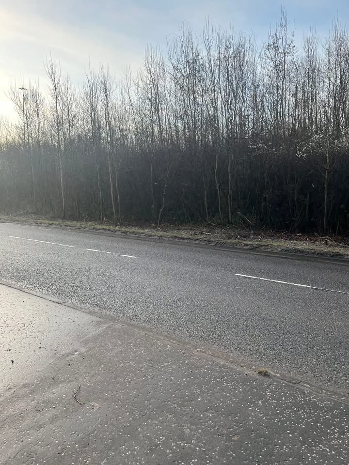 Uddingston Litter Pickers tweet media