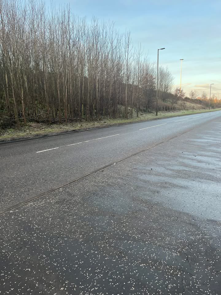 Uddingston Litter Pickers tweet media