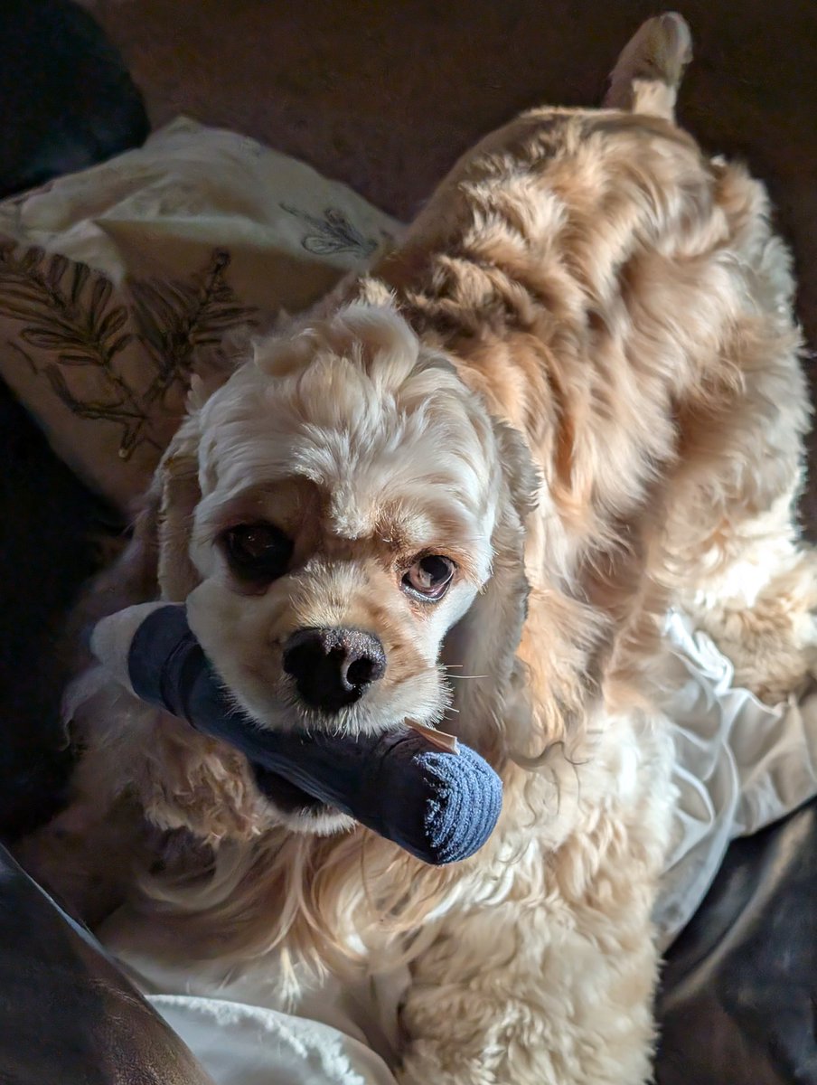 nick@BSLABS tweet media