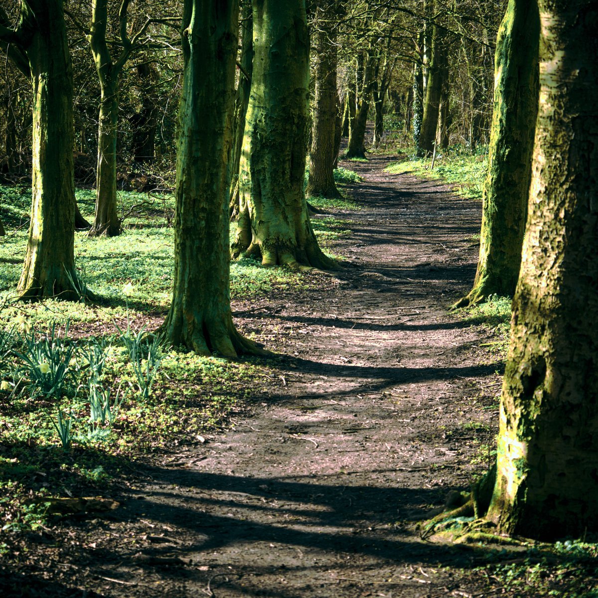 Martin Geddes tweet media