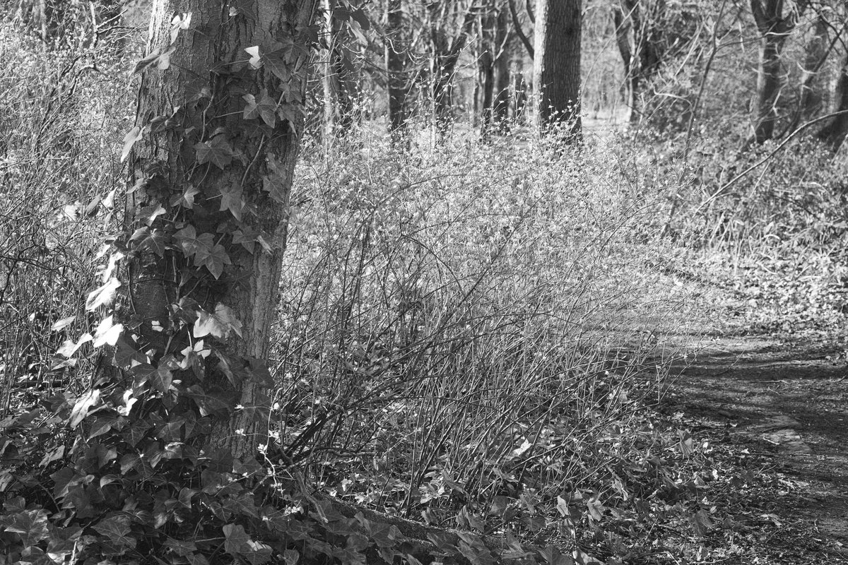 Martin Geddes tweet media