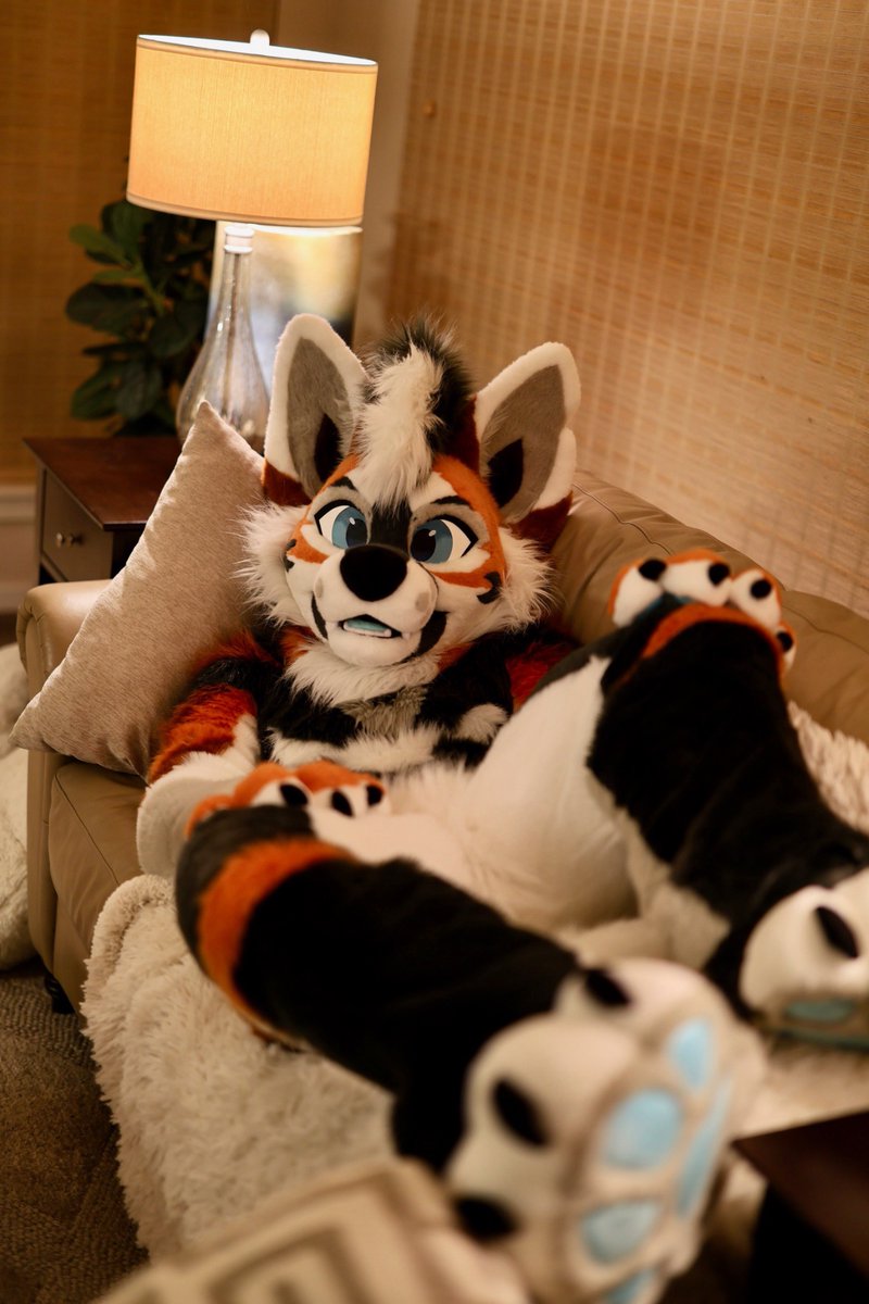 I am SO ready for cuddles. 😤

📸 <a href="/SonoxxLion/">Sonoxx 🥖 🔜 LVFC, FWA, Megaplex</a> 
🧵 <a href="/Zuri_Studios/">Zuri Studios</a>
