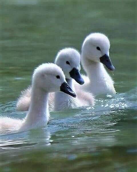 One Y Films 📹 tweet media