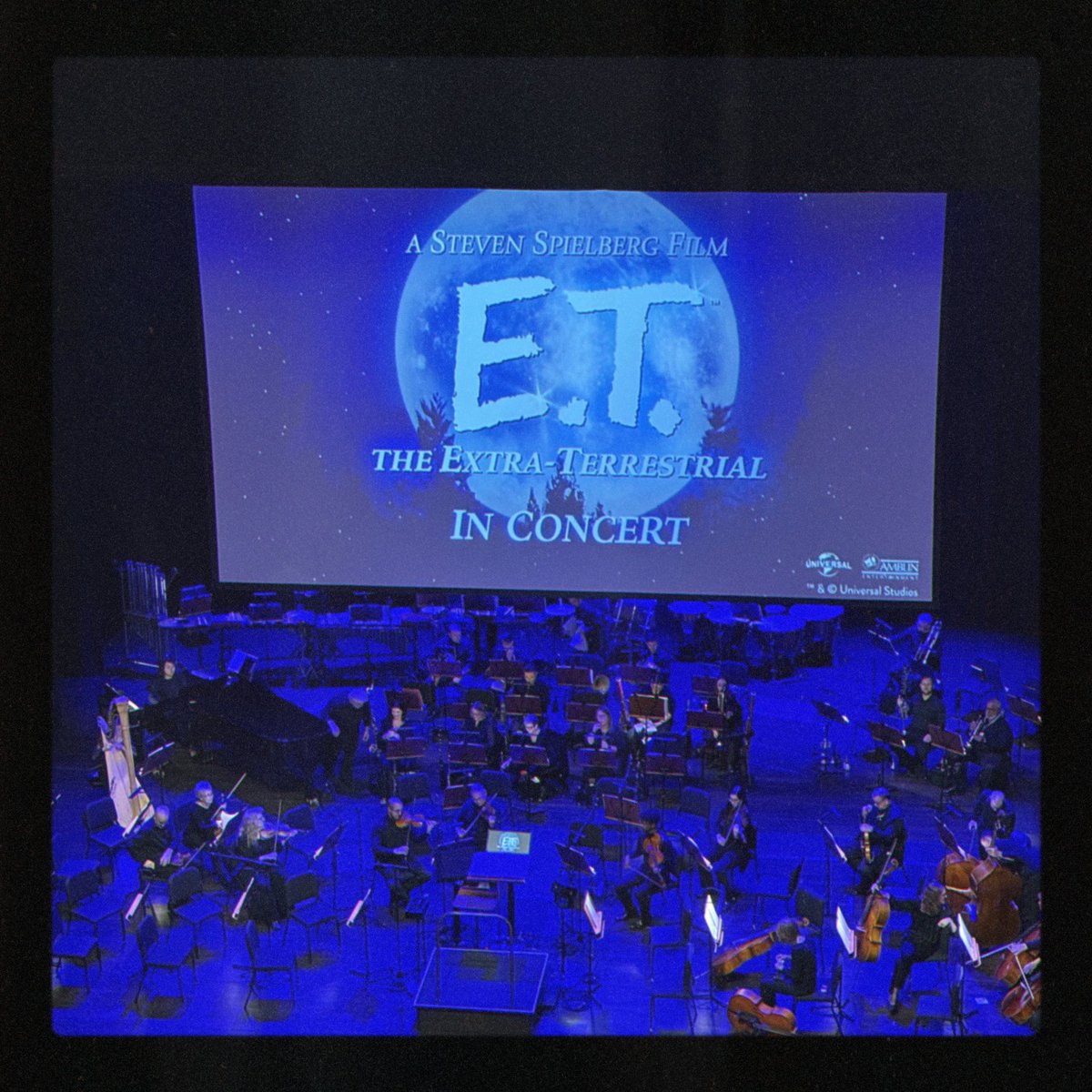 ☀︎ Mads ☀︎ THfBS 🦋 tweet media