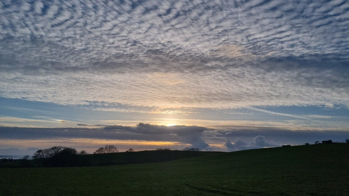 Duncan Willis tweet media