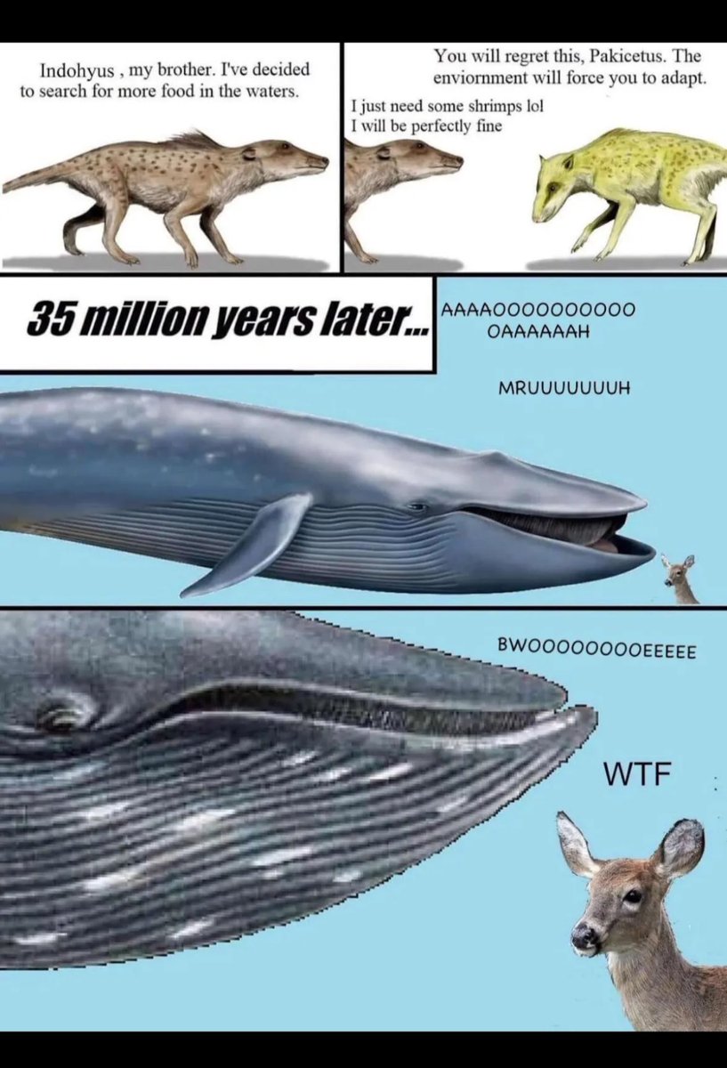 wlgriffiths tweet media