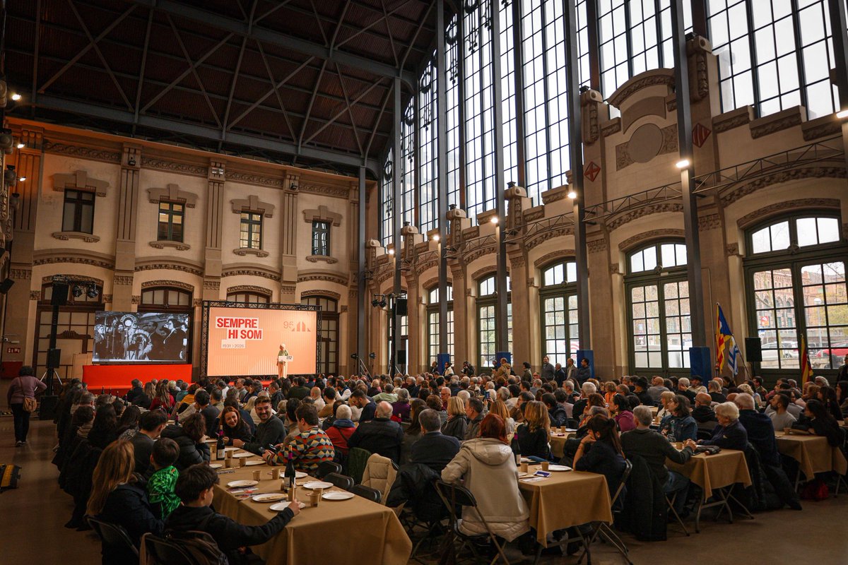 Margarida Feliu tweet media