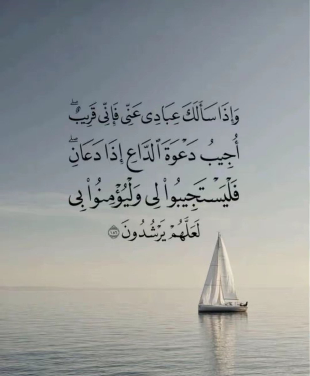 حمود المطيري tweet media