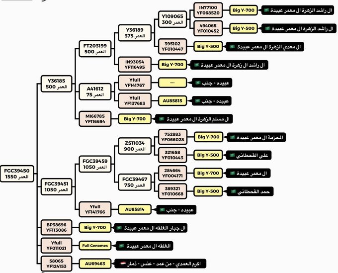 قبيـلة ال معمر بني شداد عبيده tweet media