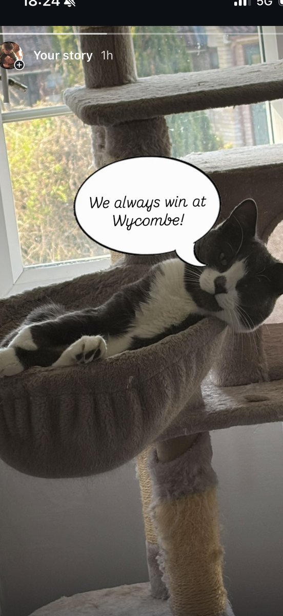 Ryan Bishop tweet media