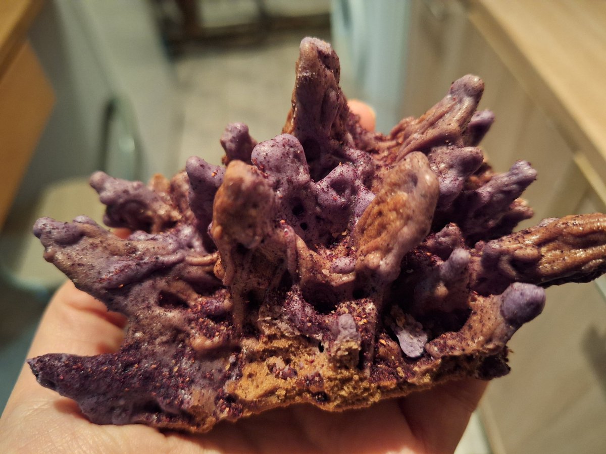 blueberry flavour šakotis, enough said