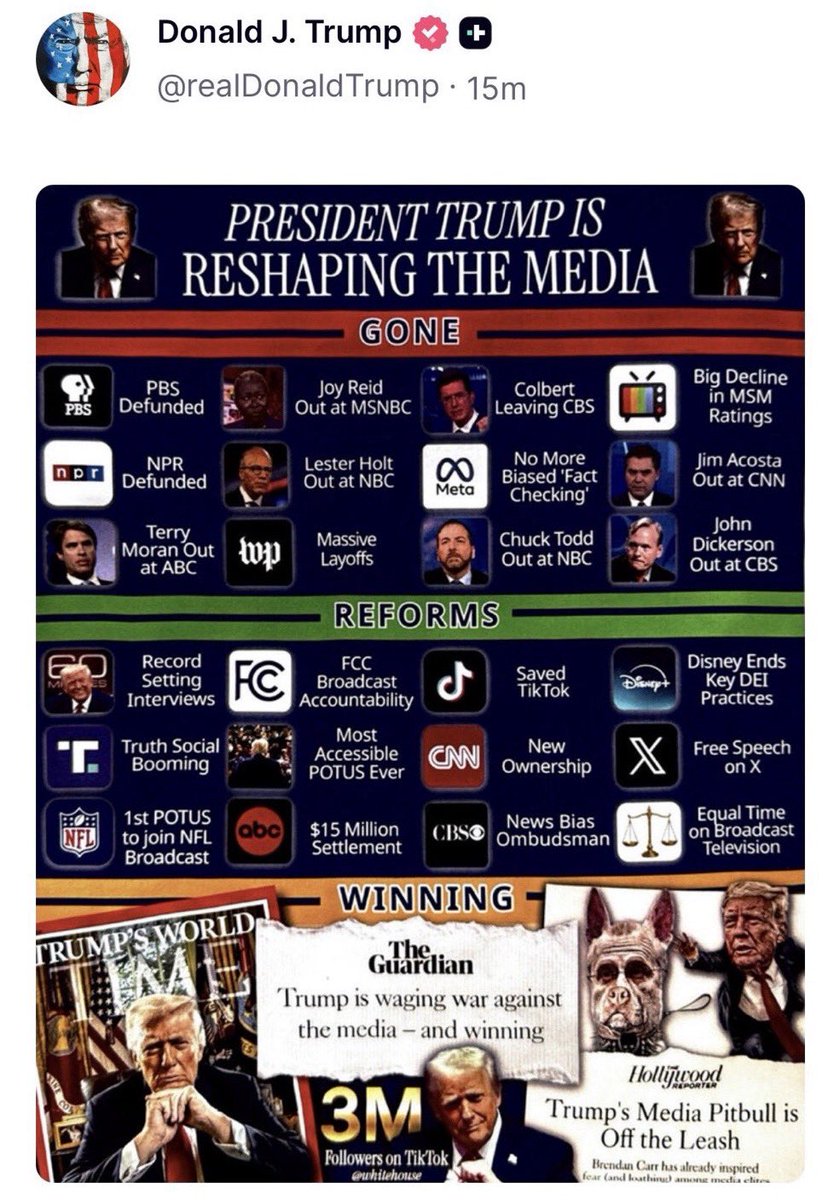 Melanie D'Arrigo tweet media