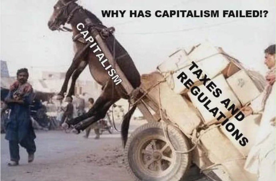 wlgriffiths tweet media