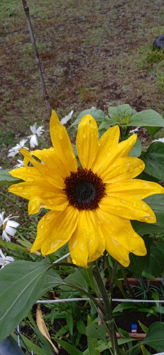 Eli 🧉🎶 tweet media