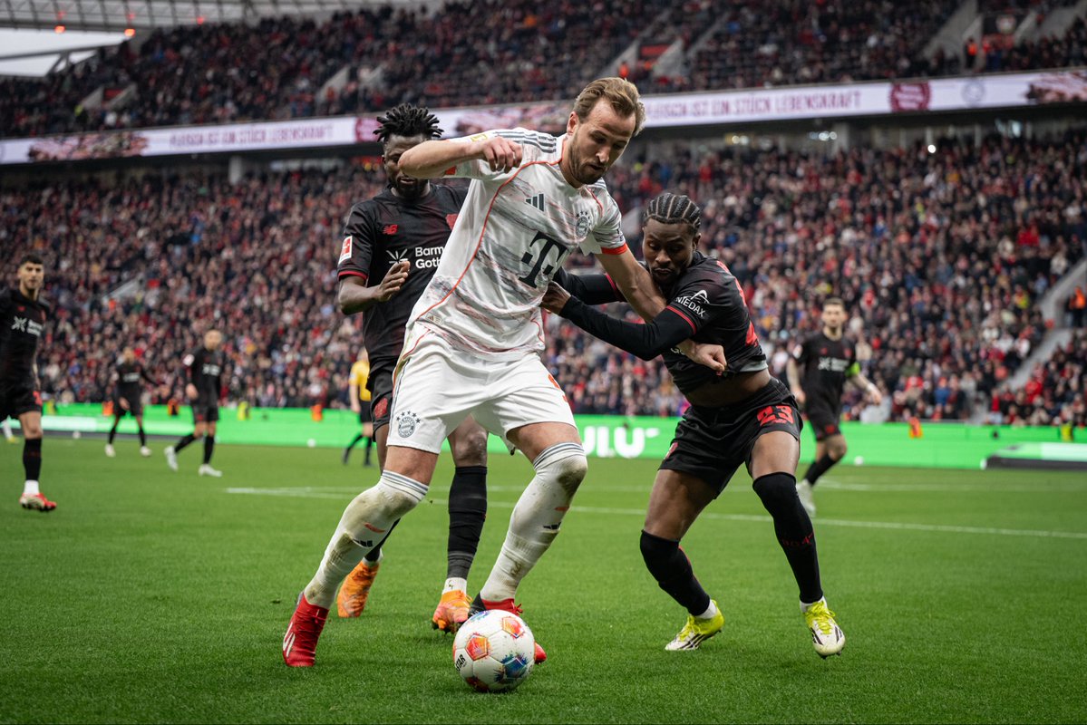 Harry Kane tweet media