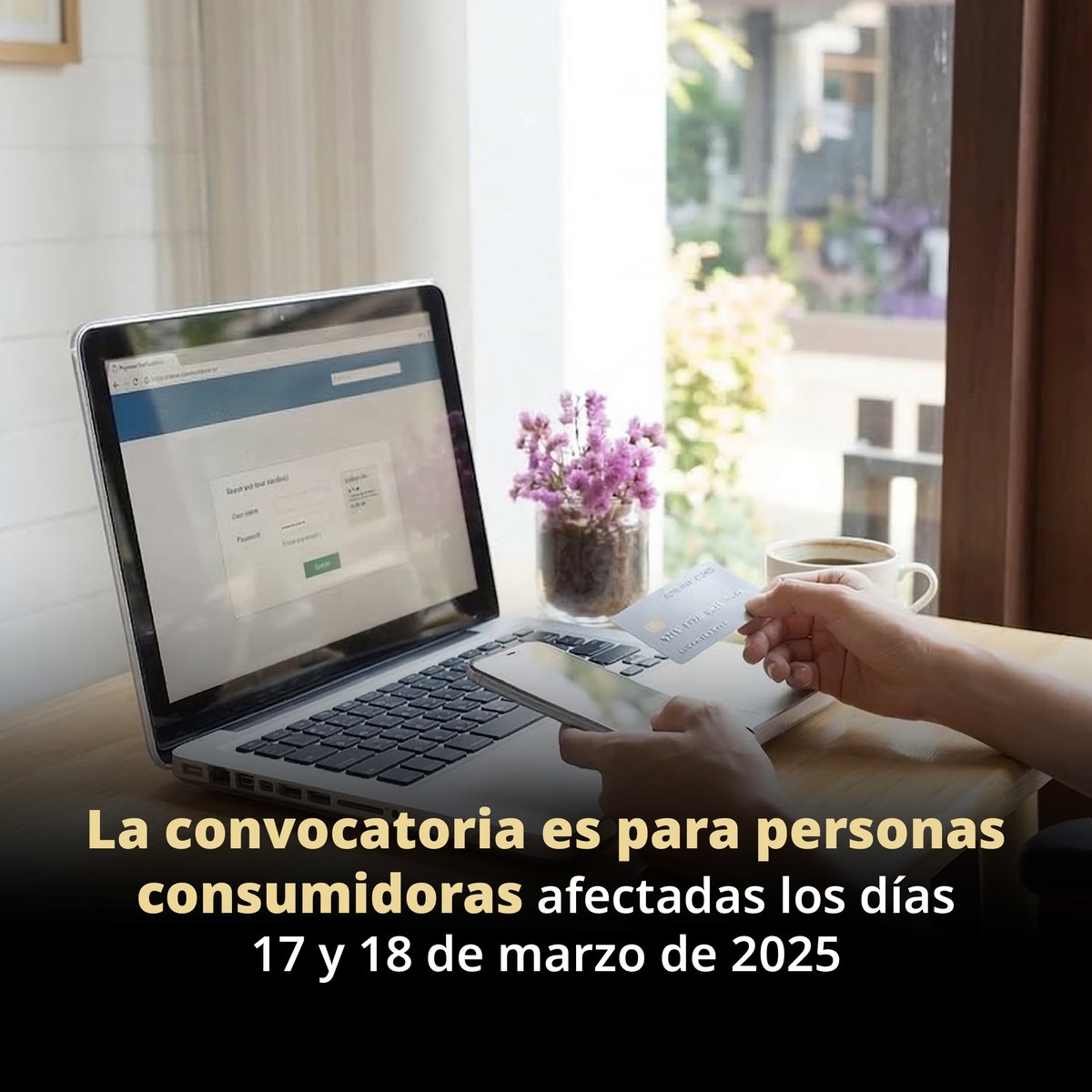 Profeco tweet media