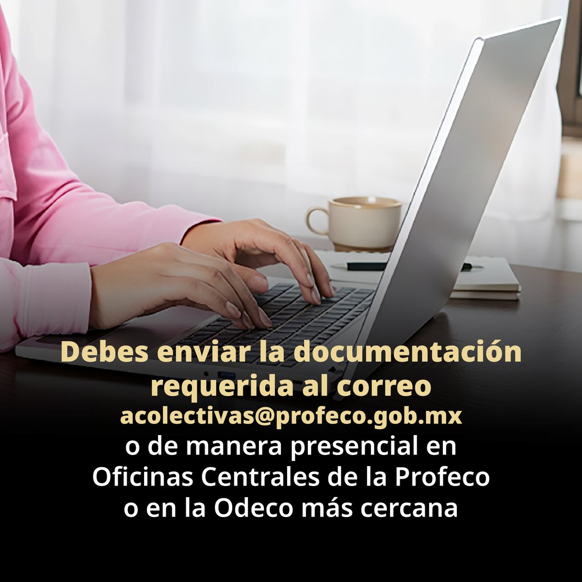 Profeco tweet media