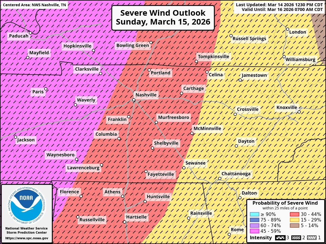 DicksonSevereWx tweet media