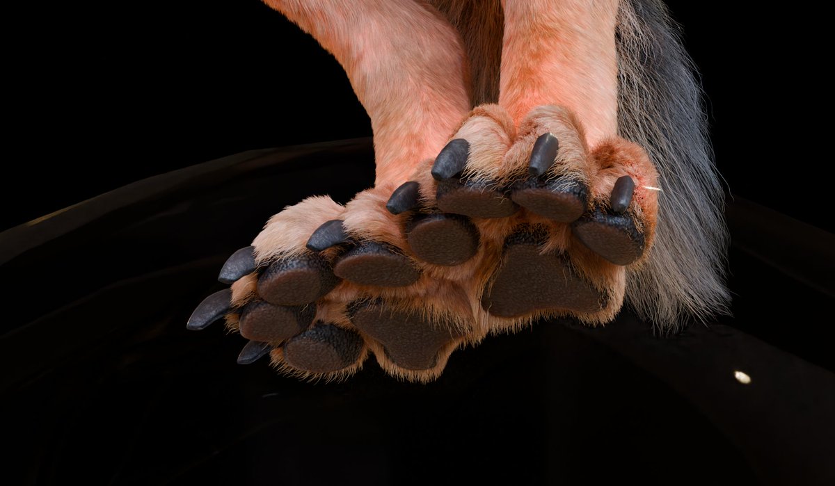 Efner 🔜 TFF tweet media