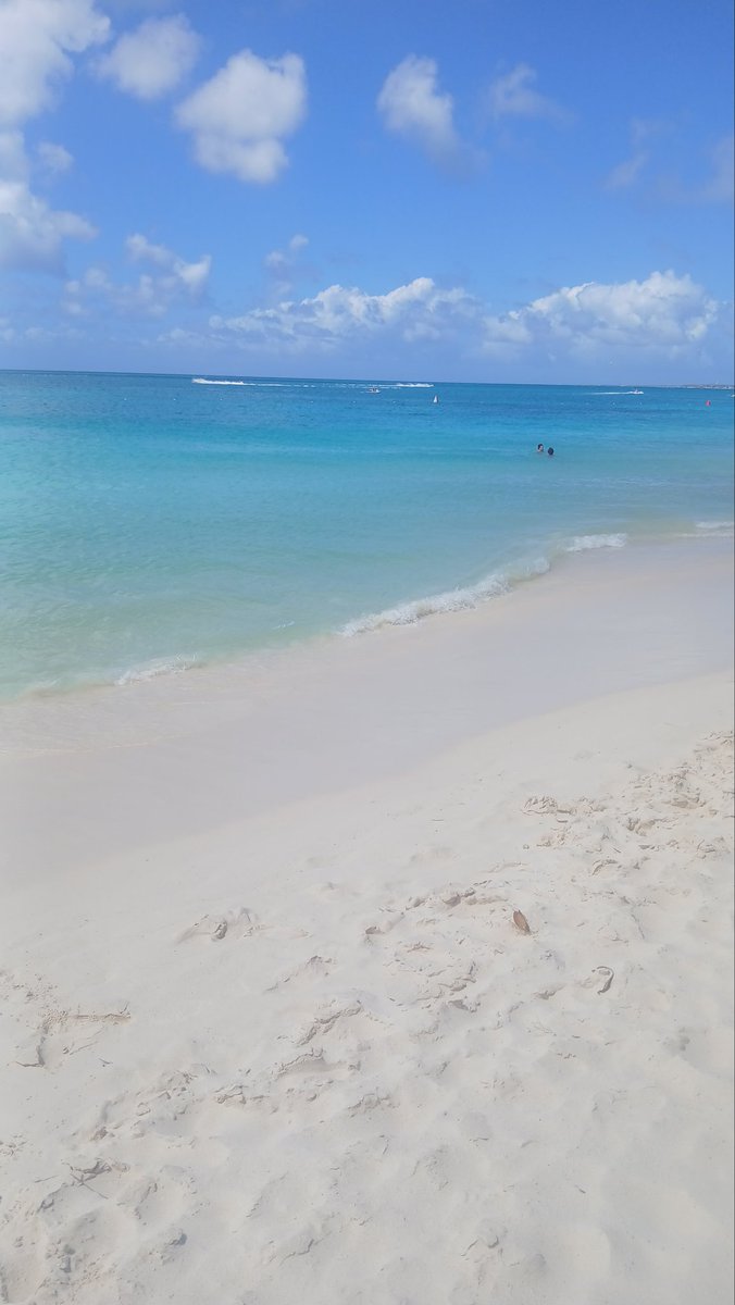 Mauro Duarte tweet media