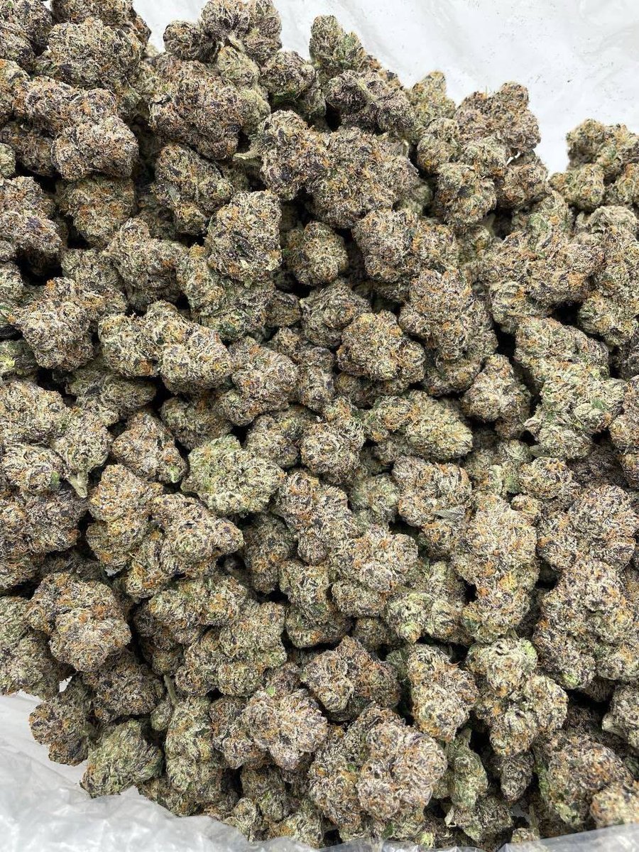 sincity seeds tweet media