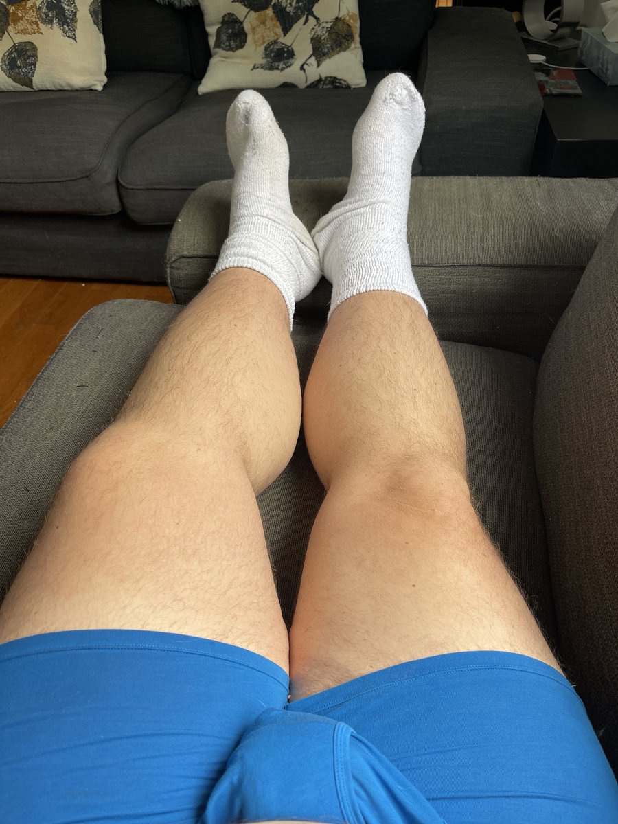 Chubby Dad Bear tweet media