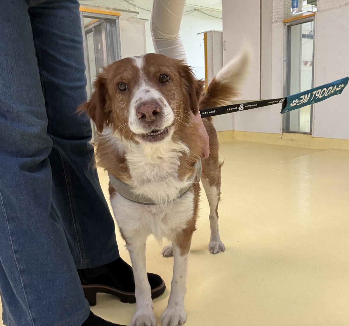 Sophie Vershbow tweet media