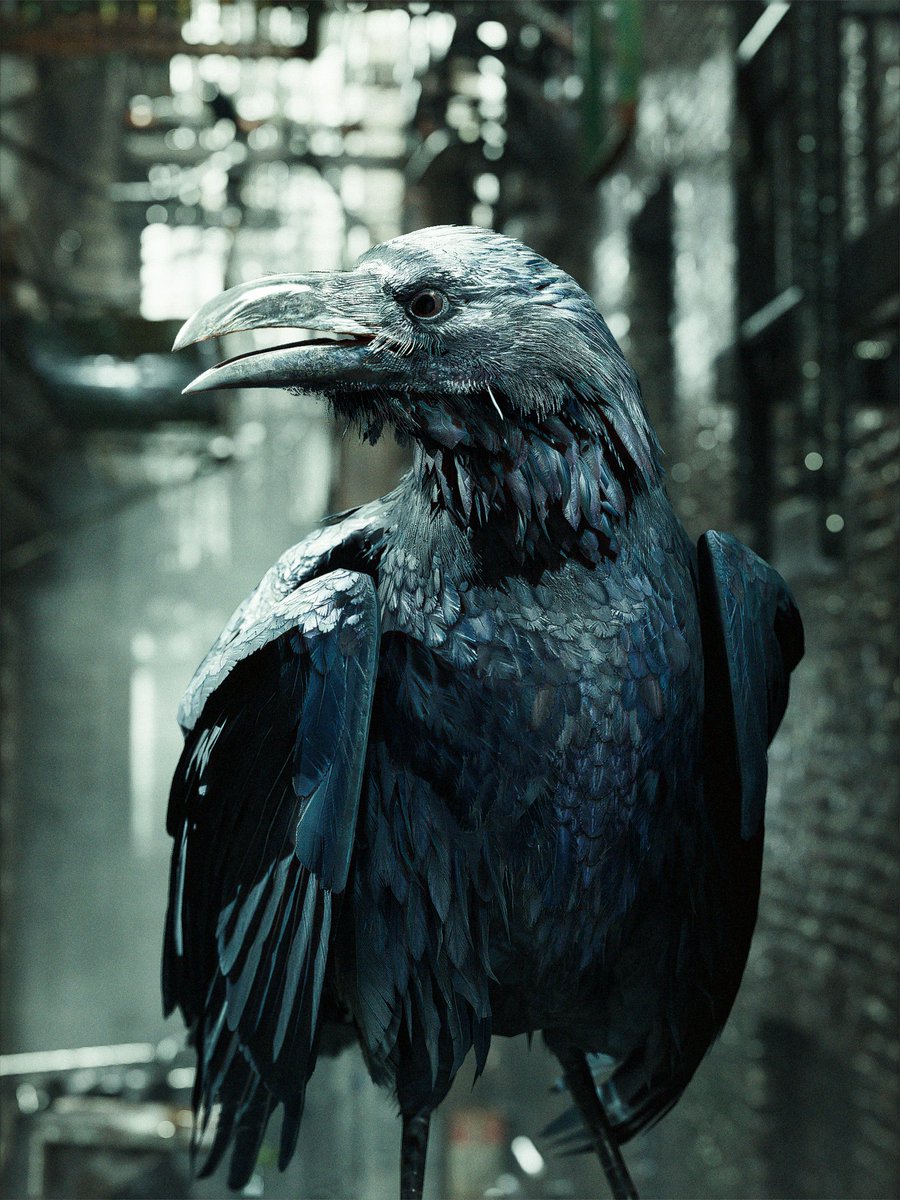 solemist tweet media