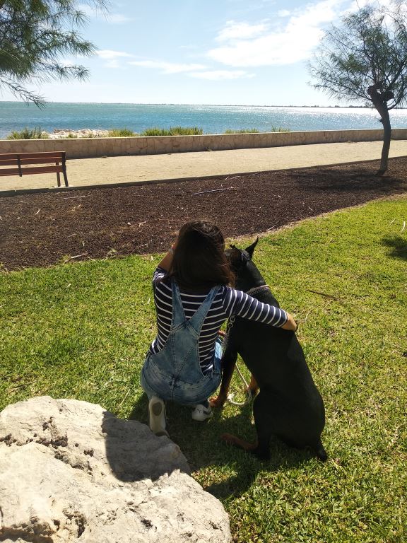 Abogacía Española tweet media