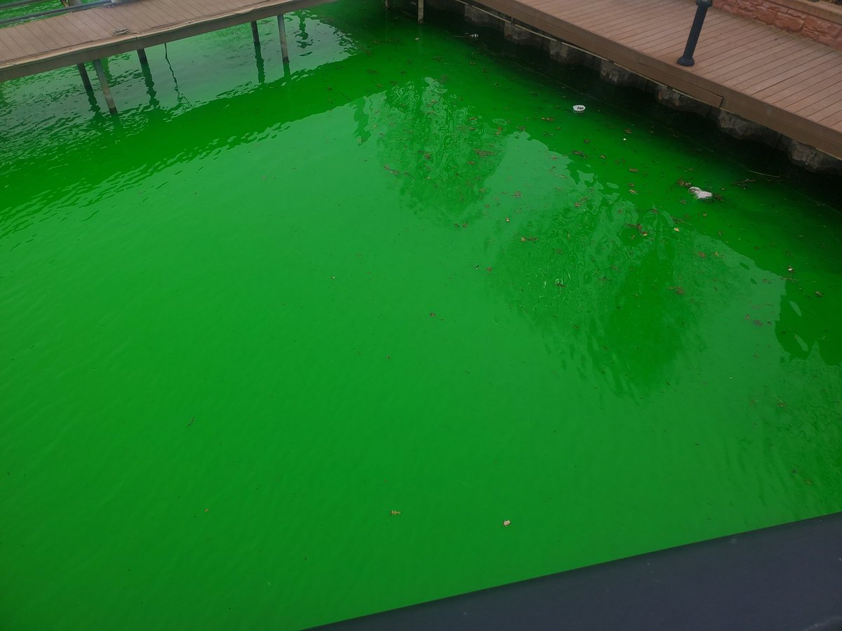 Grogda 👁️🍲 Cyclops V-tuber tweet media