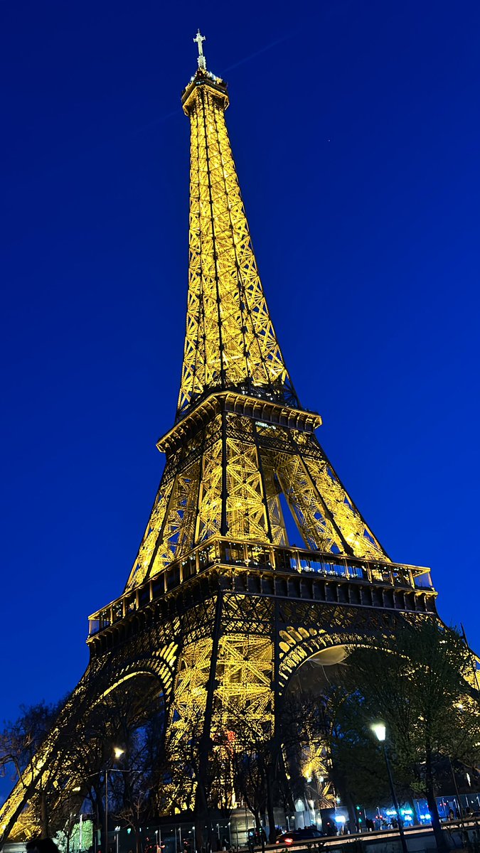 Ana Sofia Gomez tweet media