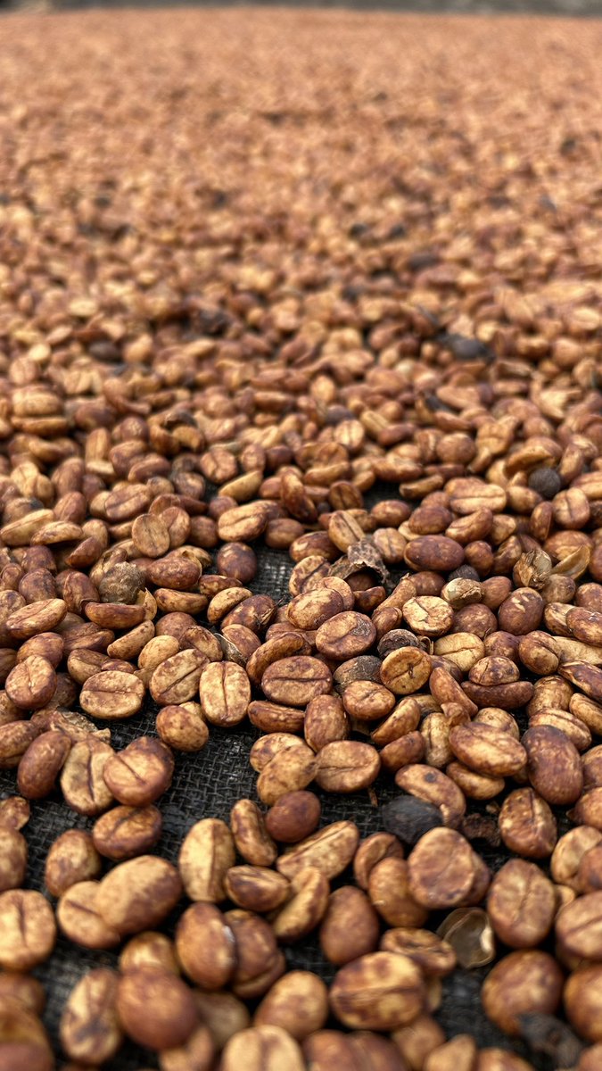 Jacinto Vallarta tweet media